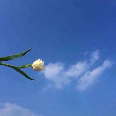 荡剑九重天最新版下载
